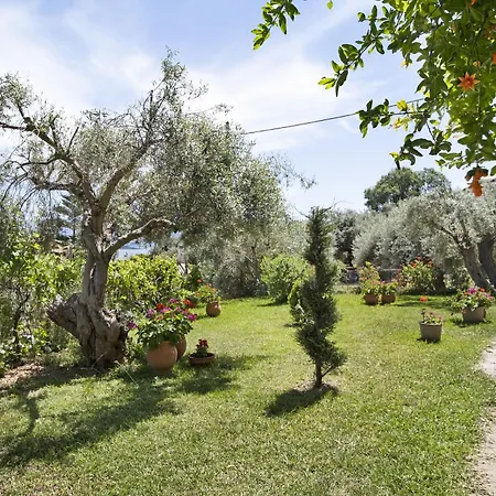 Lejlighed Tasoula With Sea View 1 *