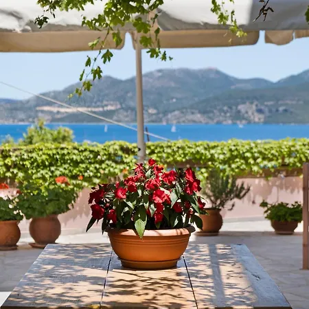 Tasoula With Sea View 1 Appartement *