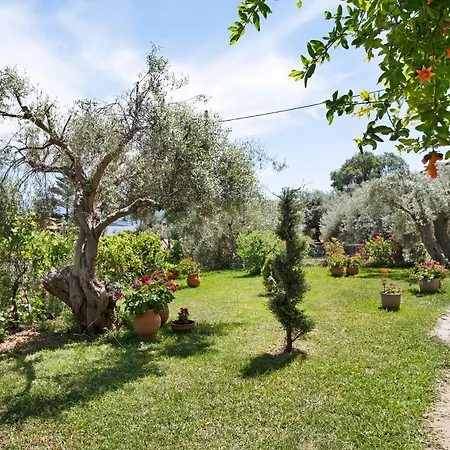 Apartamento Tasoula With Sea View 1 *